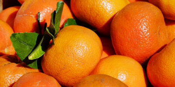 Doza vitamina C stigla u općinu Štefanje