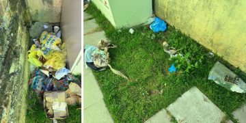 [FOTO] Evo kako neki građani preuzimaju pakete: Bahato i bez trunke kulture