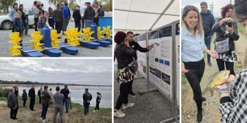Na ovim ribnjacima ne odustaju od šarana: Planiraju preokret koji bi mogao promijeniti sve!